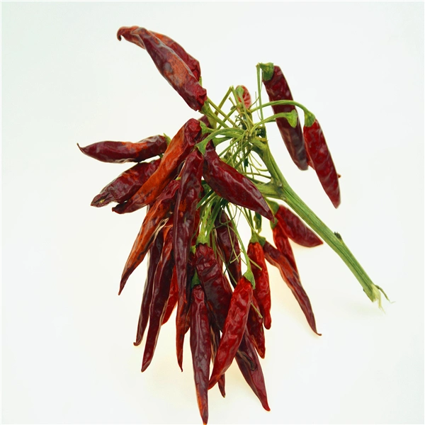 Guizhou Mantianxing Millet Pepper Dry Chili Hot Pot Seasoning Raw Material Spices