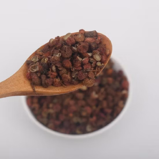 Especiarias chinesas picantes secas com pimenta Sichuan, melhor sabor para panela quente
